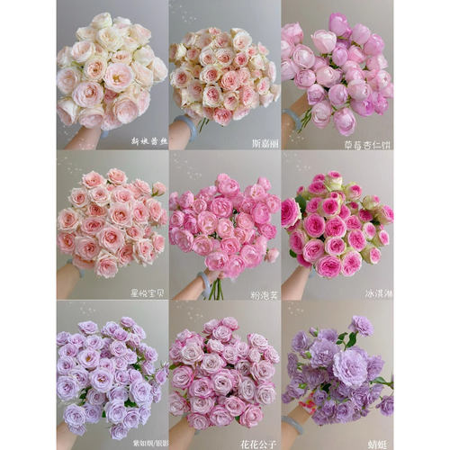 【梦境花卉 万能玫瑰】 -任意两单发顺丰冷链或德邦快运