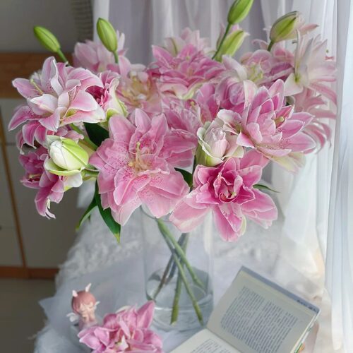 【元宝优选 粉拉菲重瓣香水百合】云南直发鲜花水养鲜切花