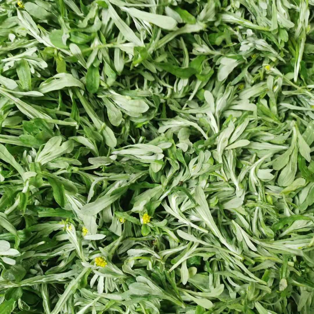 鼠曲草 500克 佛耳草 清明菜 追骨风鼠耳草绒毛草鼠麴 满3份包邮