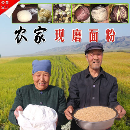 甘肃农家面粉小麦粉 家用馒头包子粉石磨无添加宝宝面粉5斤