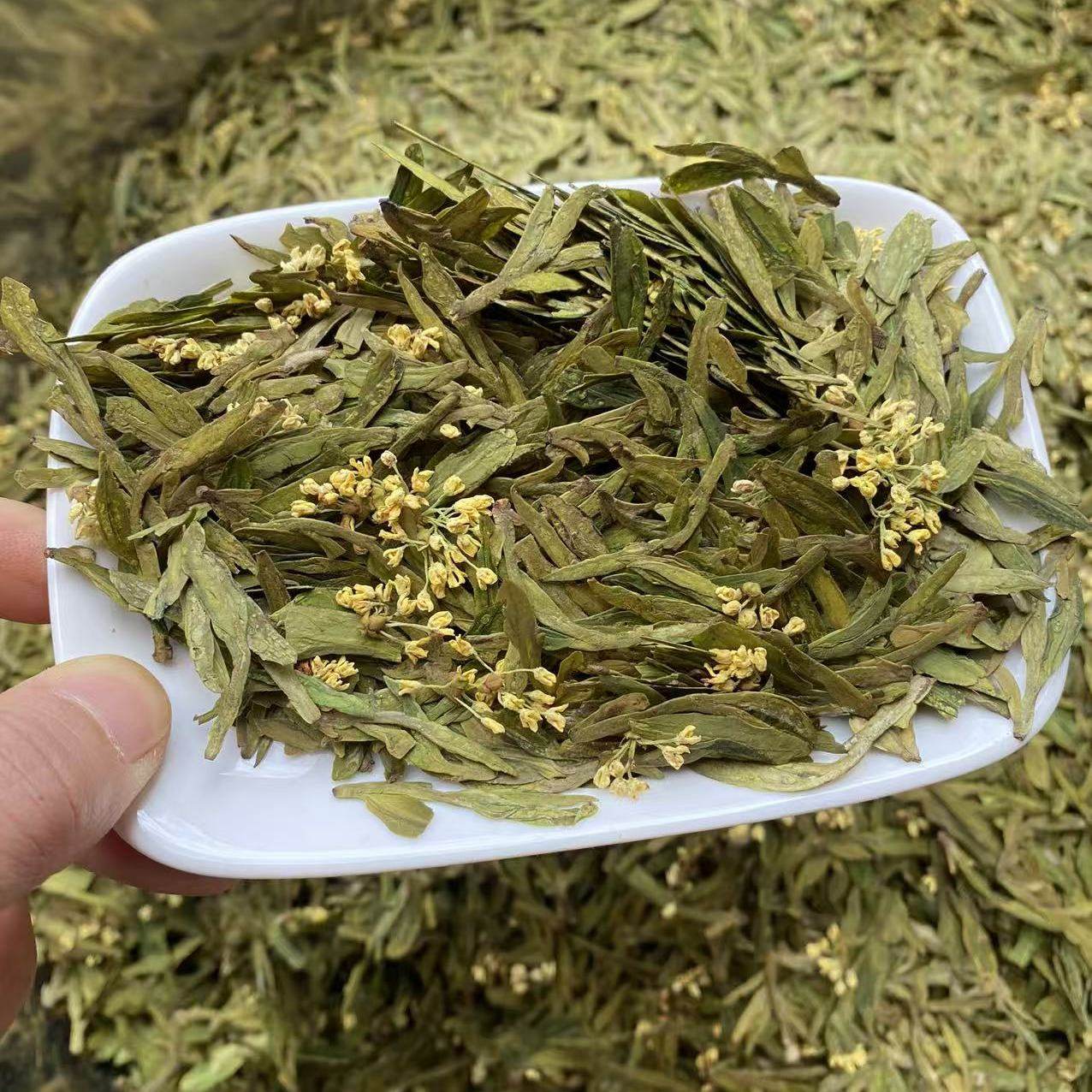 2025年杭州明前龙井自家古法窨制明前桂花龙井回味甘甜龙井43豆香,茶,龙井茶（非西湖）,淘宝优惠券,粉丝福利购,淘宝优惠卷