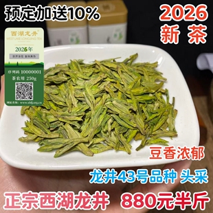 预售西湖龙井2026新茶 明前龙井头采自家采摘炒制 绿茶龙井250g