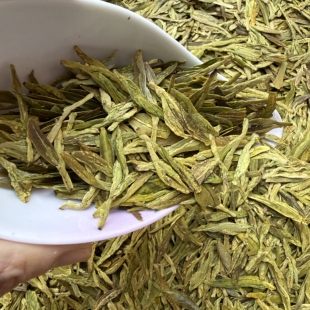 2026新茶雨前龙井茶叶杭州绿茶高山龙井豆香黄版龙井 野茶树品种