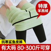 特大码 胖mm收腹裤 鲨鱼裤 2023加绒加厚棉裤 200斤高腰女外穿打底裤