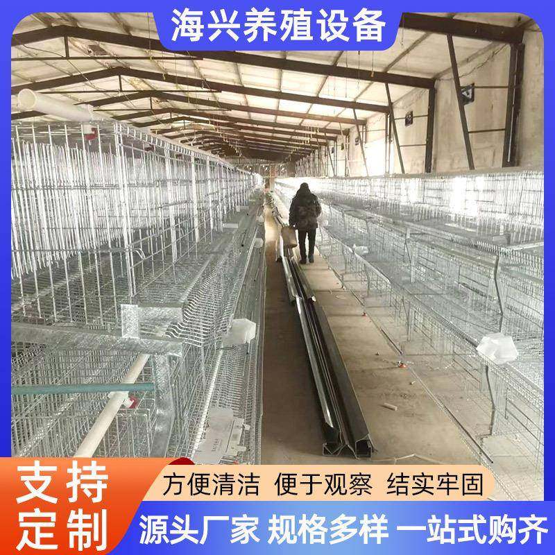 立式蛋鸡笼H型鸡笼养设备镀锌丝三层四层蛋鸡笼自动智能笼养设备,畜牧/养殖物资,特种养殖设备,淘宝优惠券,粉丝福利购,淘宝优惠卷