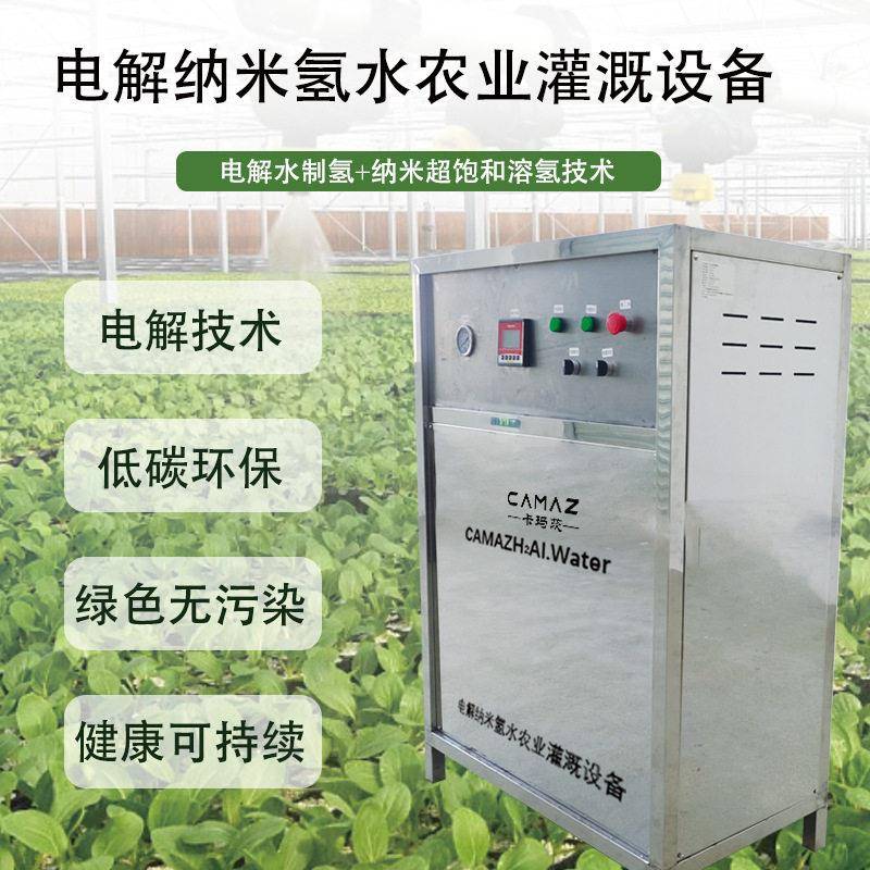 源头厂家1T/小时电解纳米氢水农业灌溉设备电解技术低碳环保