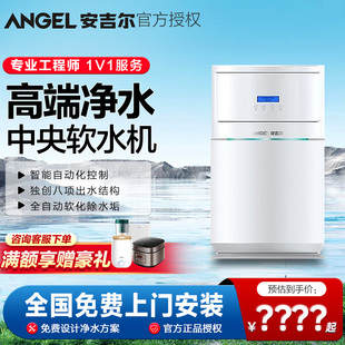 Y09全自动除水垢软化水 大型全屋中央软水机S2660 安吉尔 Angel