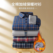 伦巴宝利娇冬季纯棉保暖男士衬衫长袖加绒加厚男装男款衬衣中老年