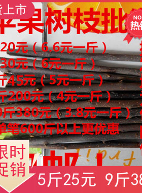 烘干苹果枝磨牙树枝松鼠仓鼠龙猫兔子荷兰猪鹦鹉磨牙零食咬木包邮