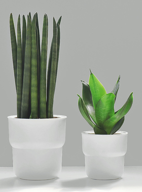 镜绿 小白盆自吸水简约双层树脂花盆仿瓷工艺北欧风绿植多肉盆器
