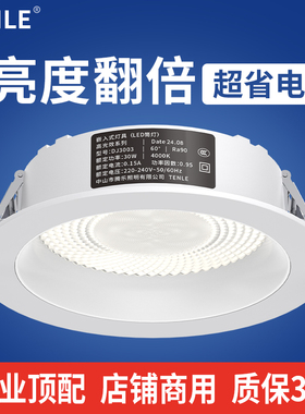 筒灯大功率嵌入式led开孔12公分24w中山灯具40瓦20cm超亮店铺商用