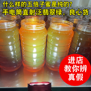 新鲜深山五倍子蜂蜜 气血湿 蜂农自采纯净药花蜜 天然原蜜2斤装
