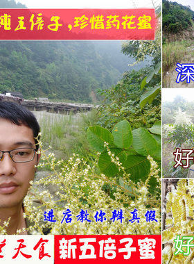 五倍子药花蜜1斤湿气痔疮