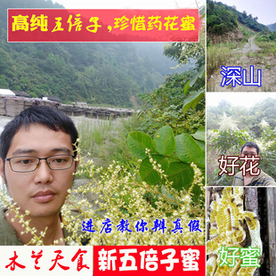 2025新鲜五倍子蜂蜜 气血湿 蜂农自采纯净药花蜜 天然原蜜1斤