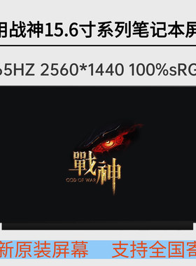 神舟战神Z7T-DA7NP/DA7NT Z7/G8/Z8-TA7NP/S Z9-CT7PK 笔记本屏幕