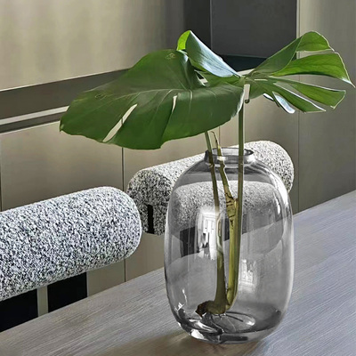 玻璃透明水培花瓶大号