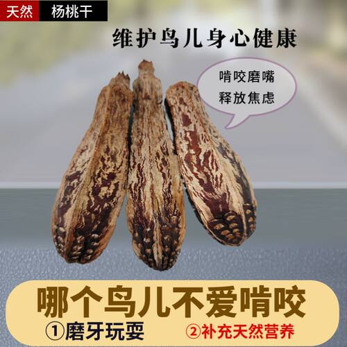 鹦鹉啃咬玩具天然杨桃果干杨桃果片磨牙解闷玩耍玩具虎皮牡丹玄凤