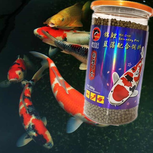 海豚锦鲤金鱼锦鲤颗粒金鱼饲料