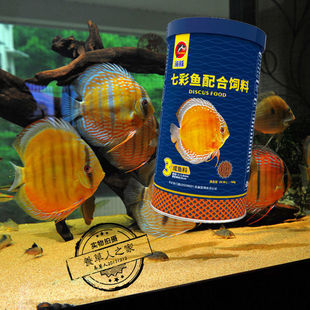 海豚牌鱼饲料小颗粒七彩鱼神仙鱼粮小型鱼热带观赏鱼通用型饲料