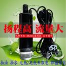 德国进口直流抽水泵浇水浇菜48v60v电瓶车抽水泵电动抽水机12v24v