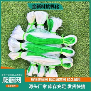 植物爬藤网百香果豆角黄瓜月季丝瓜苦瓜葡萄种植网爬搭架网农用