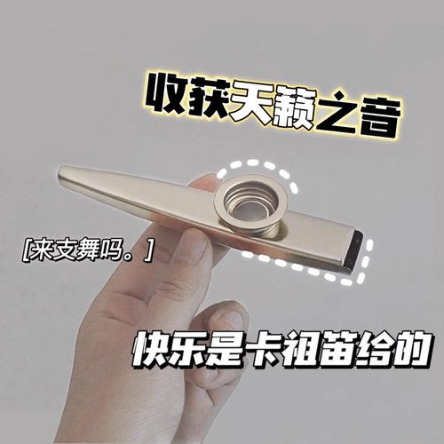 金属卡祖笛专业木制演奏级实木小号大号萨克斯小乐器不用