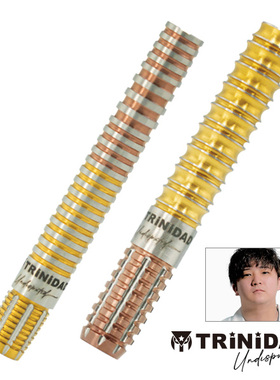 TRiNiDAD Undisputed KID 2/3 EVO后藤智弥22.5克 21.5克软钨钢镖