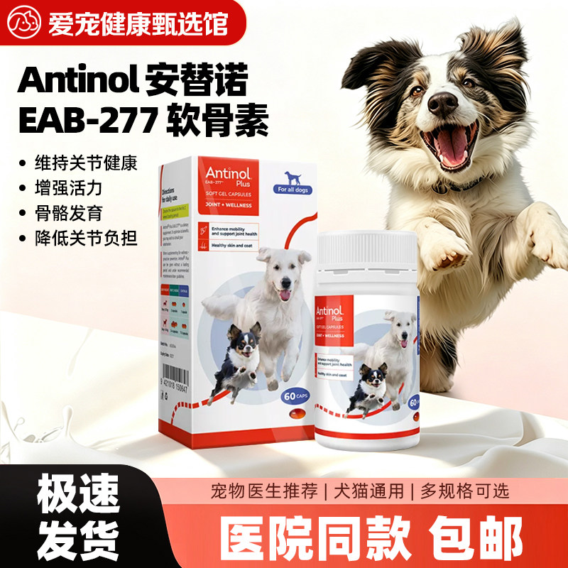 安替诺宠物软骨素猫狗关节保护