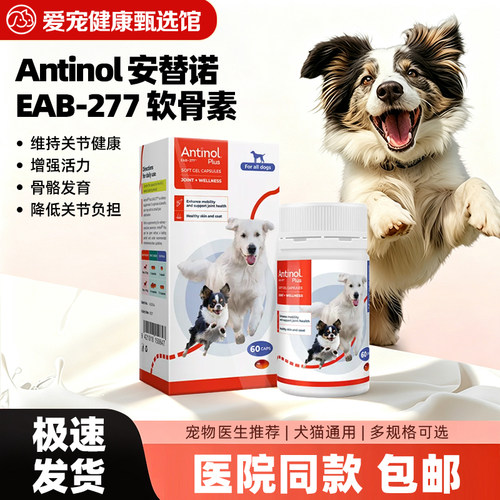 安替诺宠物软骨素猫狗关节保护