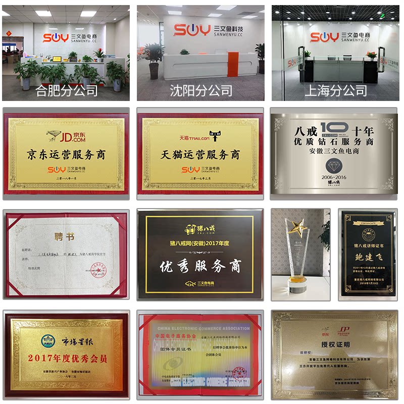 三文鱼教育淘宝运营电商新手开网店玩爆运营教程店铺装修