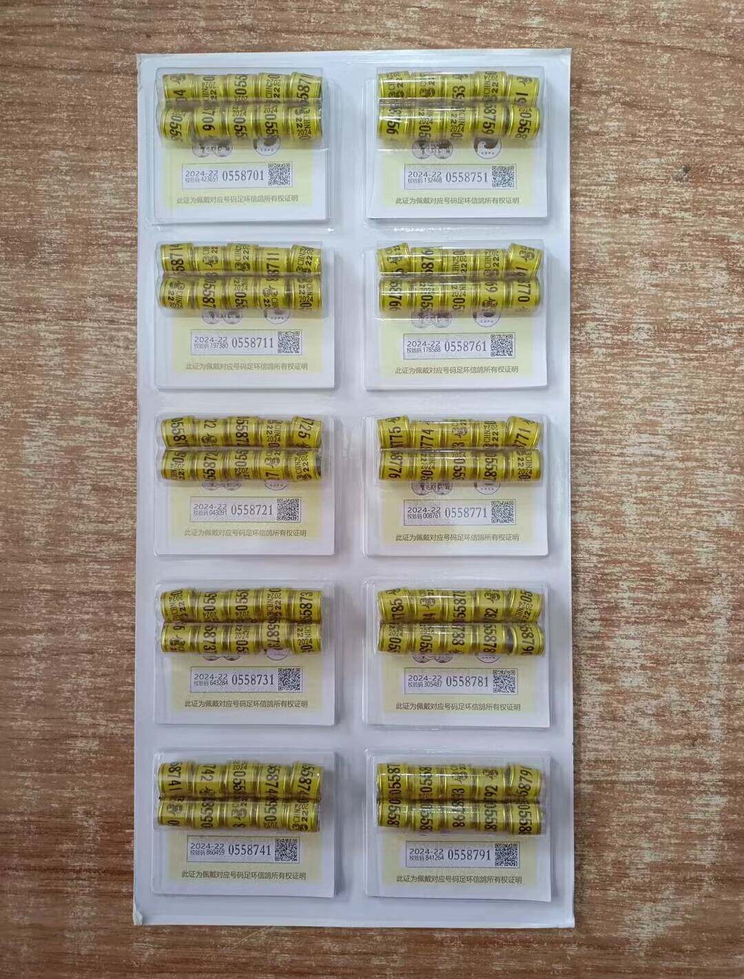 2024年统一带证足环真环普环信鸽足环鸽子脚环信鸽用品赛鸽足环