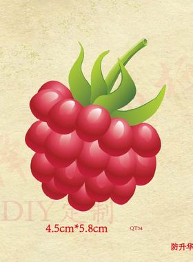 QT34小号水果红色葡萄图案儿童衣服胸标裤子补丁贴DIY胶片烫画贴