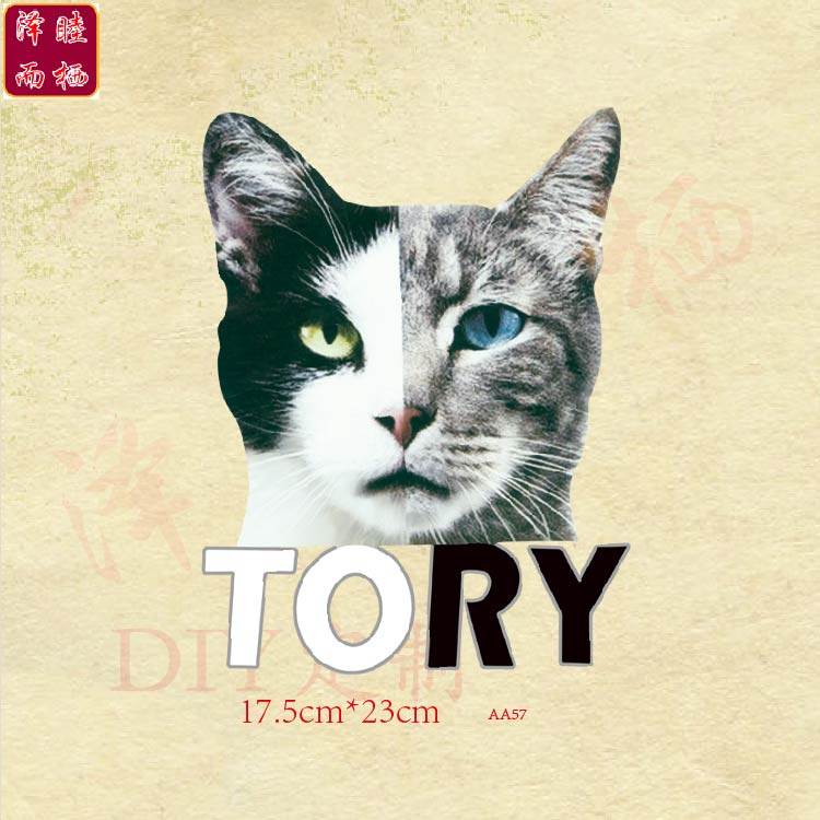 aa57热转印大号字母猫咪图案diy来图定制男装爆款耐水洗补丁烫画
