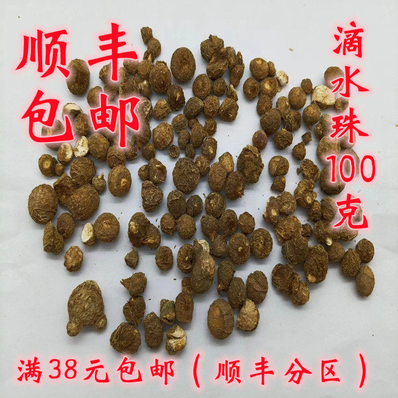 中药材 正品 滴水珠 一滴珠 石半夏 可打超细粉 无硫 100g满包邮