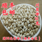 川贝母 米贝母 怀中抱月 北京同仁堂 包邮 正品 松贝母10g 中药材