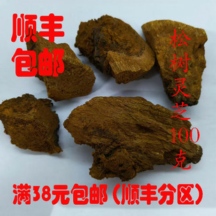 中药材 松针层孔菌 松树灵芝 正品 100g 可打超细粉 满38包邮