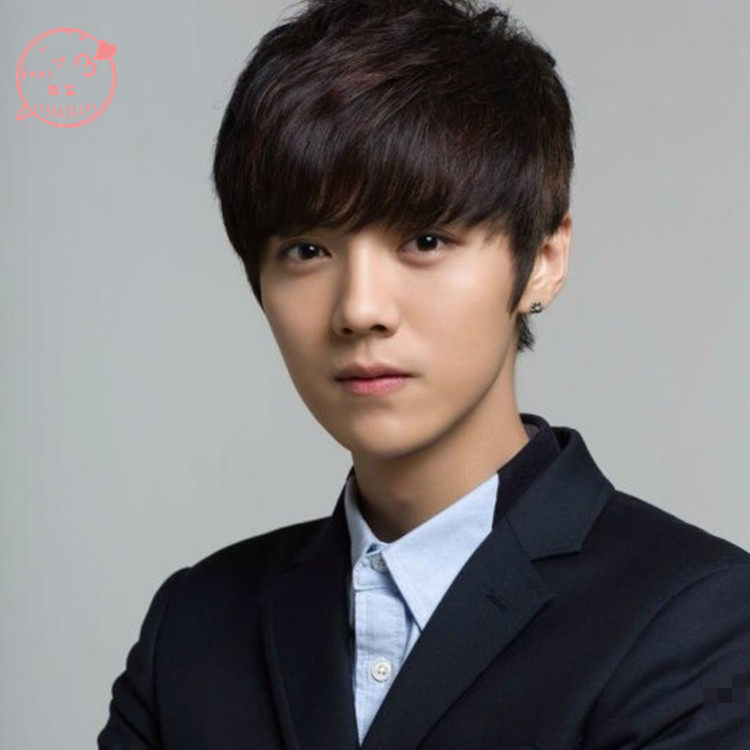 Perruque cheveux raides Court - Ref 2608627 Image 1