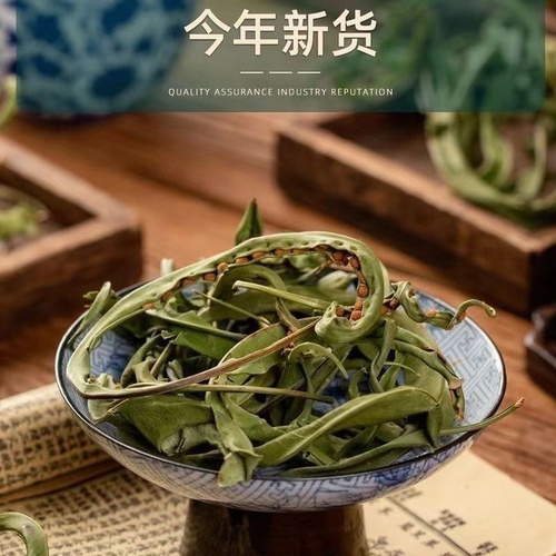 化石草云南精选化石草晒干高海拔中草药新货原生态新鲜纯天然
