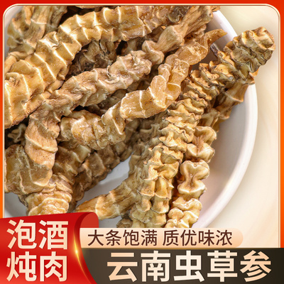 云南特级野生虫草参顶天柱西藏野生特级地参竹节参干货煲汤泡酒料
