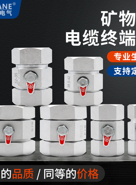 非标定制BTLY铝合金终端头NG-A矿物质绝缘电缆分支箱BTTZ接线端子