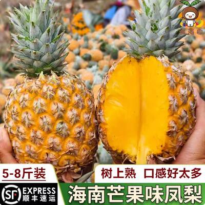【顺丰包邮】海南芒果凤梨新鲜水果台农23号香甜芒果菠萝手撕凤梨