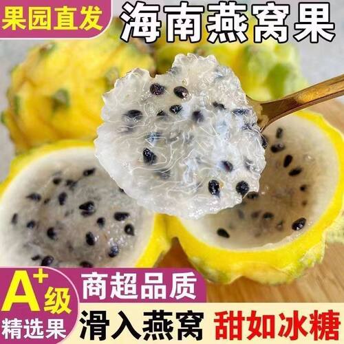 顺丰海南燕窝果稀有当季新鲜