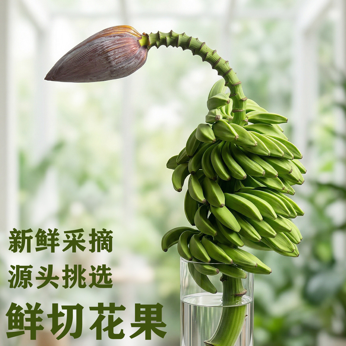 真水培香蕉花果婚礼布置插花艺素材特色禁止焦虑生日礼物观赏绿植