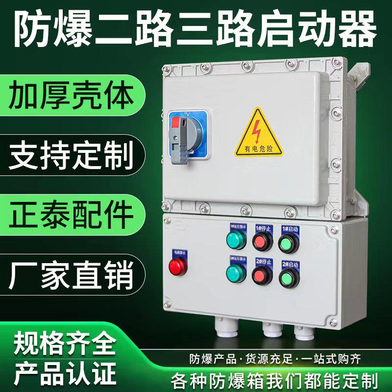 防爆启动器防水防尘配电箱二回路风机水泵开关防爆检修箱220V380V