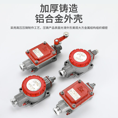 LX5防爆行程开关限位微动开关IIC