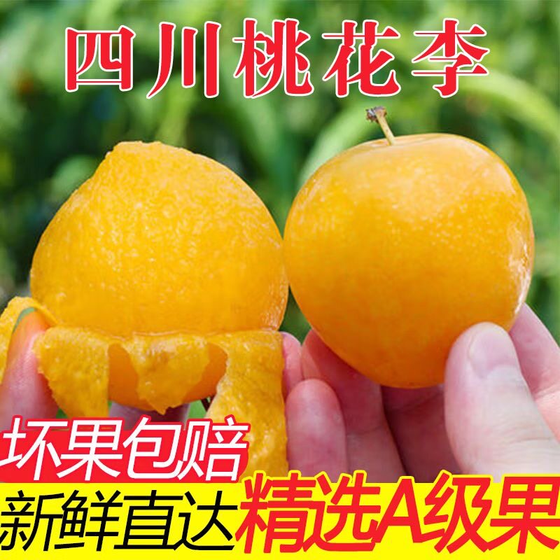 四川桃花李子冰糖汉源黄心蜂糖酸甜新鲜应季水果当季正宗黄皮金李