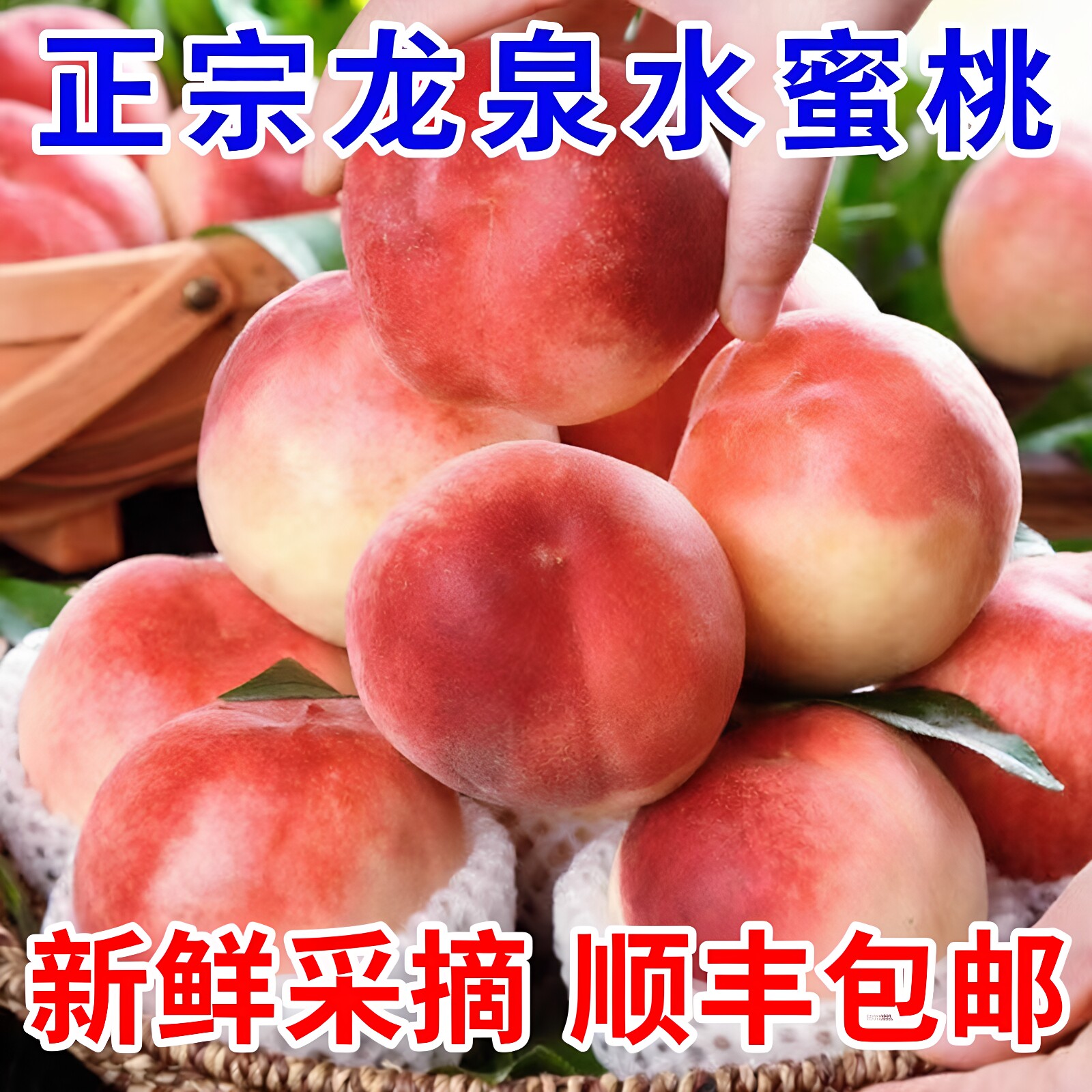 四川现摘新鲜龙泉驿水蜜桃当应季红玉孕妇水果香甜多汁桃子脆桃毛