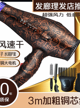 电吹风机理发店专用大功率发廊大风力家用负离子护发速干静音风筒
