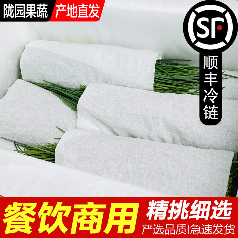 【手工精选】新鲜沙葱甘肃特产农家野菜小葱新鲜蔬菜非内蒙野生葱