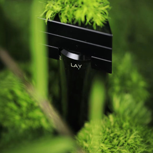 闻献LAY清新绿叶调分装满百包邮